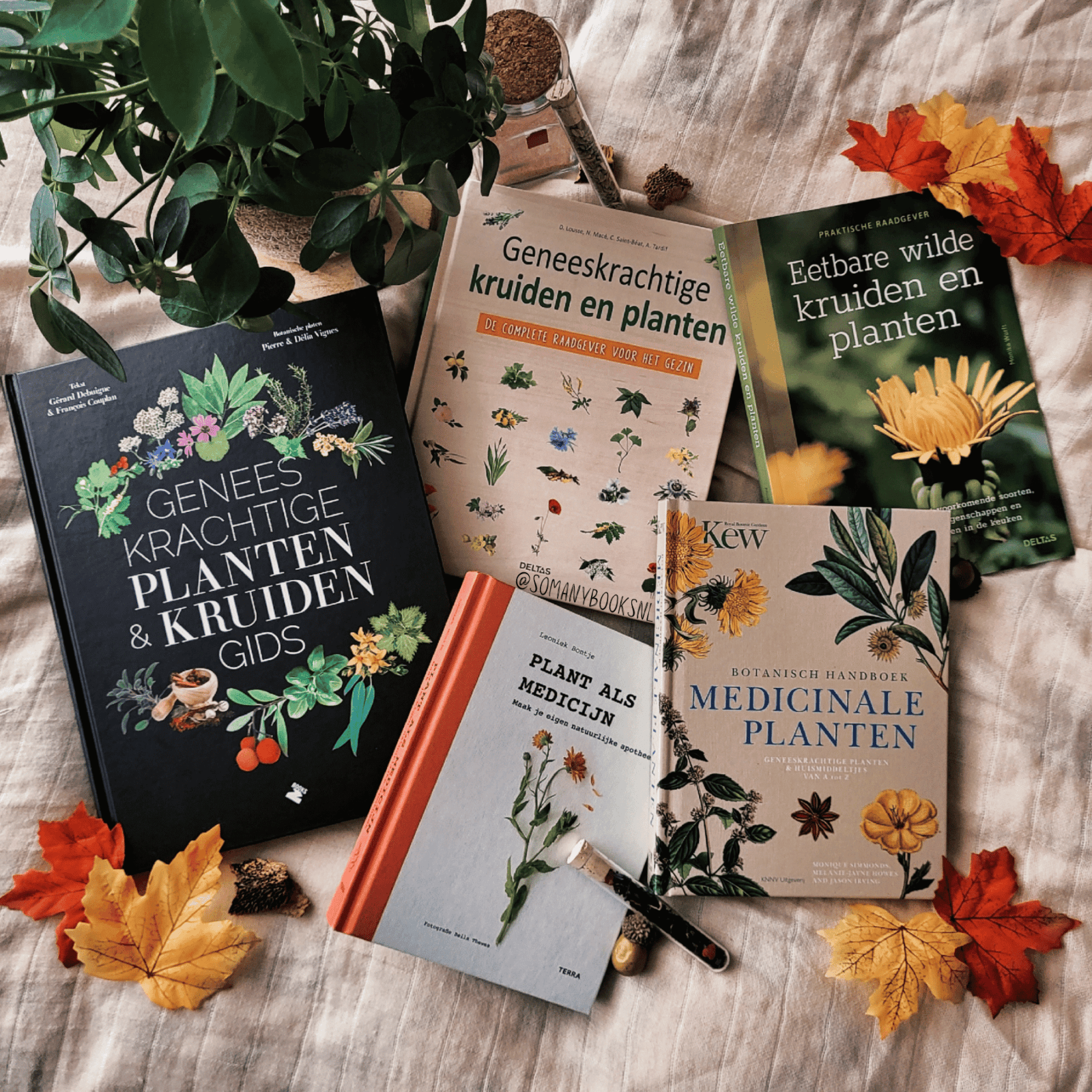 5 Kruiden & Planten Boeken  So Many Books